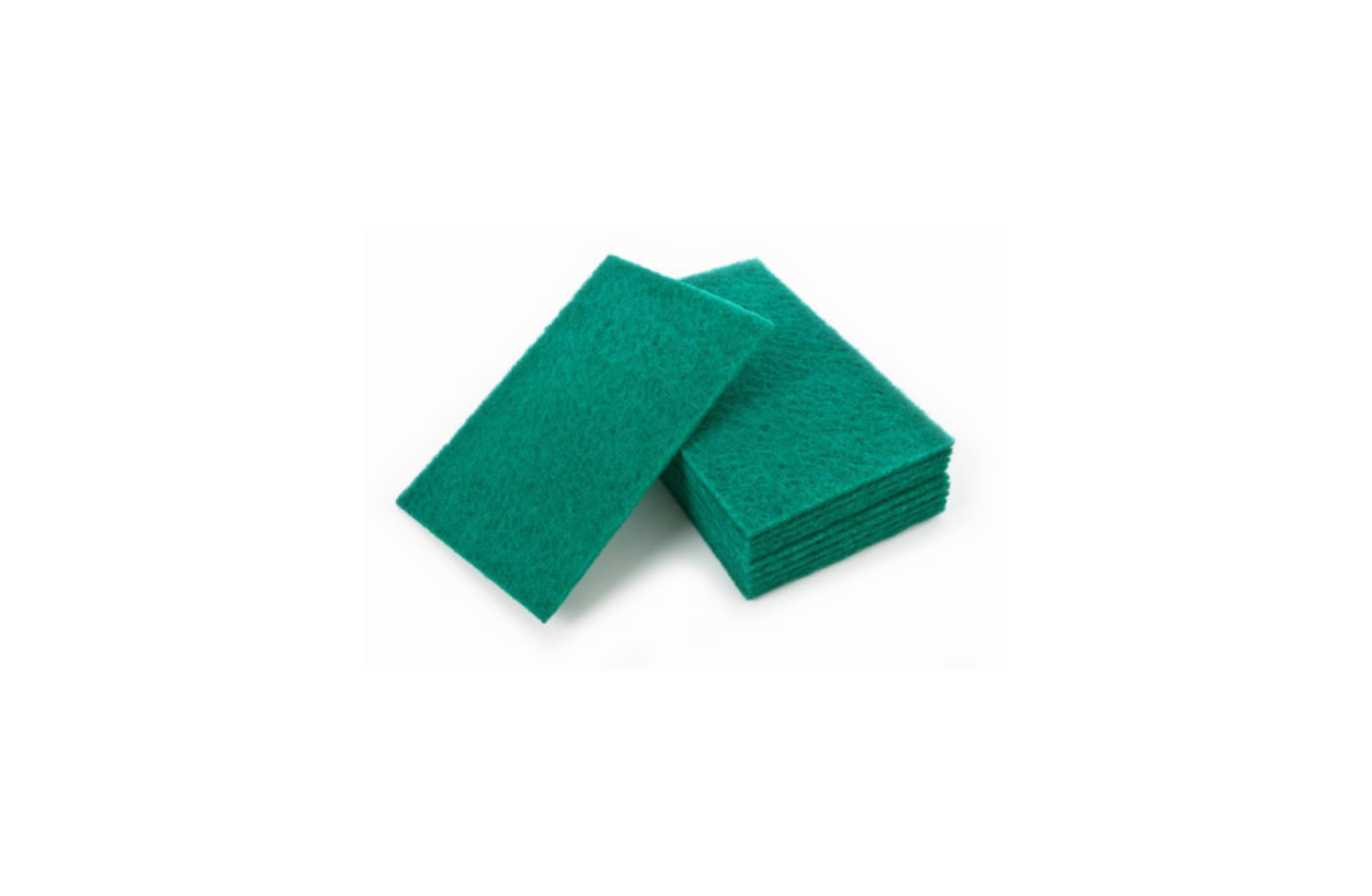 Scourer | Green | Large | 9in x 6in | 10 pack