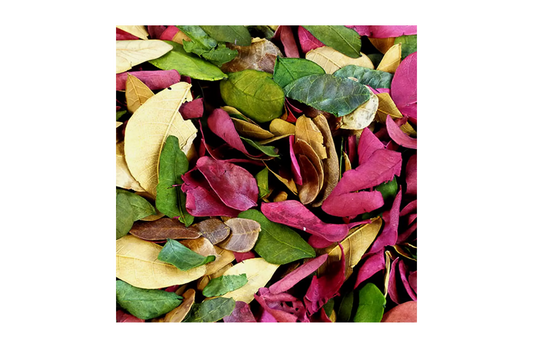Dried Coloured Leaves | 50g
