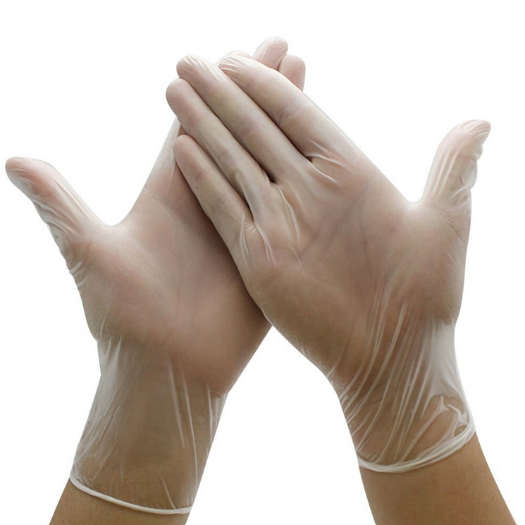 Clear Vinyl Gloves | Powder free | Latex free | Pack 100